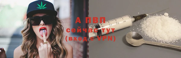 ГАЛЛЮЦИНОГЕННЫЕ ГРИБЫ Сосновый Бор