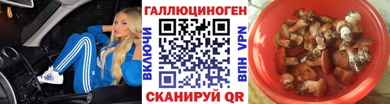 Псилоцибиновые грибы Psilocybe Гай